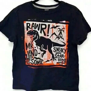 🌟5/$20🌟Gymboree Boys' Dinosaur Graphic Tee Size 10-12 Blue T-Rex Adventure